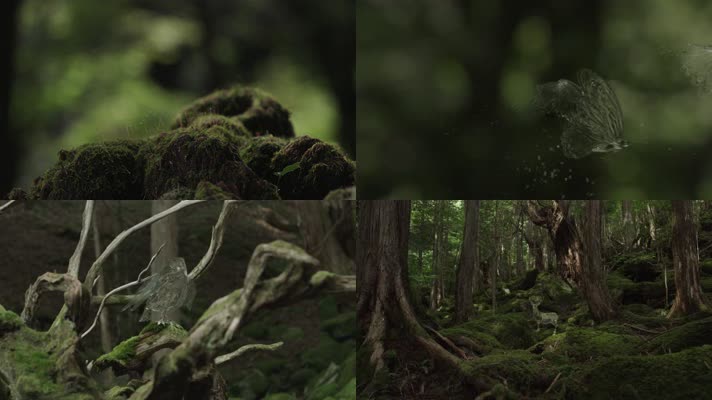 【4K】森林动物特效