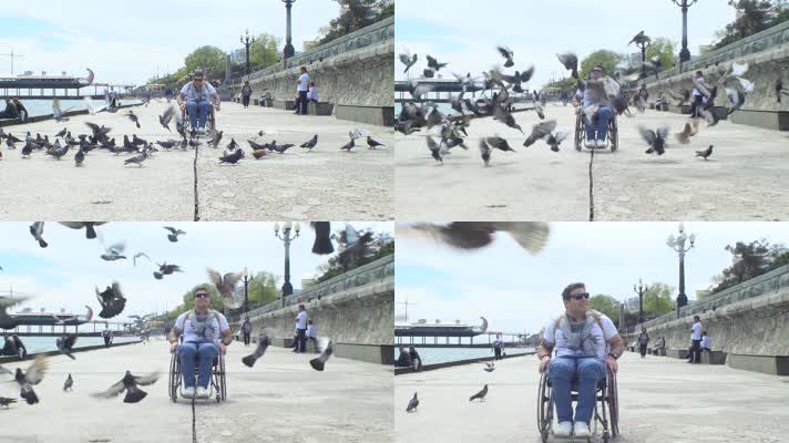 坐轮椅男子海边游览 鸽子飞舞 