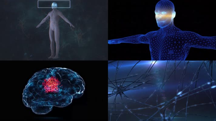 4K人体大脑神经元医学科技