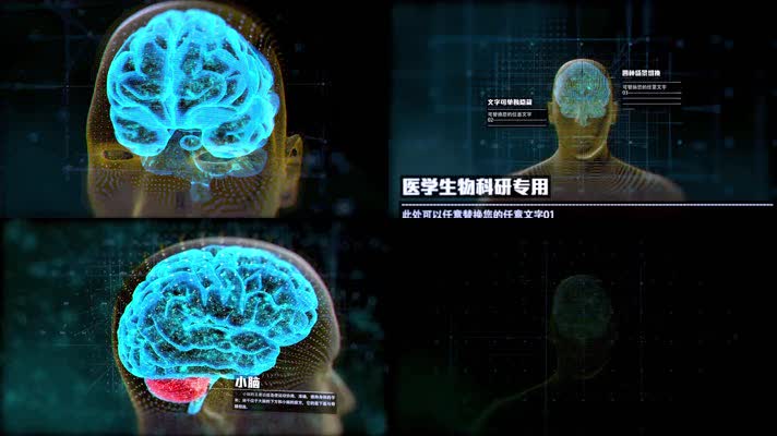 震撼医疗医学生物人体大脑结构分析片头