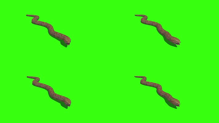 3D蟒蛇绿幕抠像