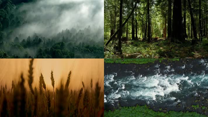 大自然绿色环保视频