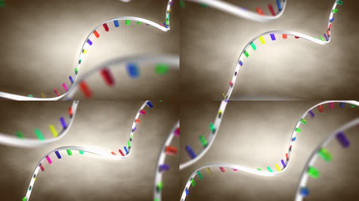 DNA基因链 染色体 遗传信息 4K视频