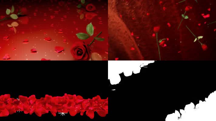 红玫瑰动画