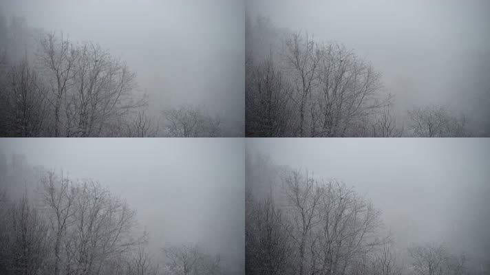 大雾天气降雪