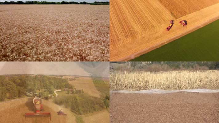 农田农场小麦收割9分钟合集