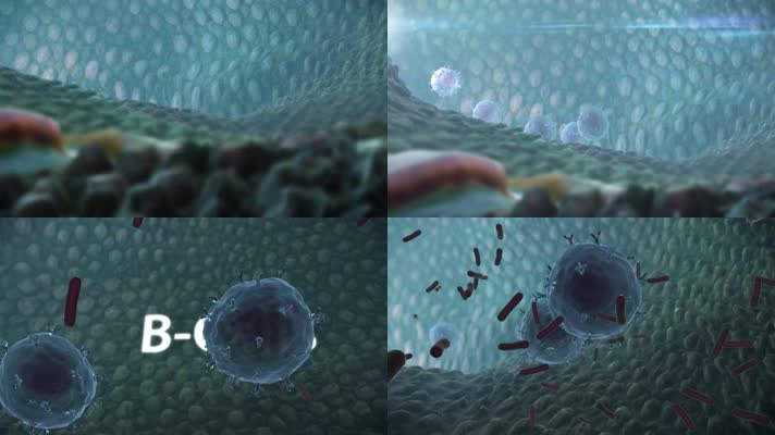 3d动画 细胞 生物学  