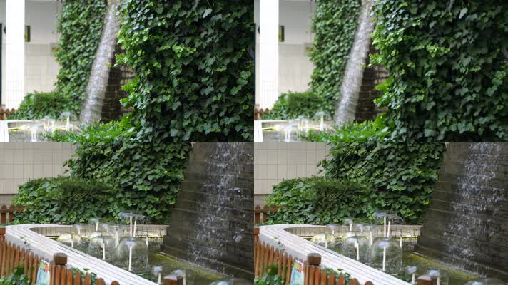 庭院绿化-人造景观-爬墙虎