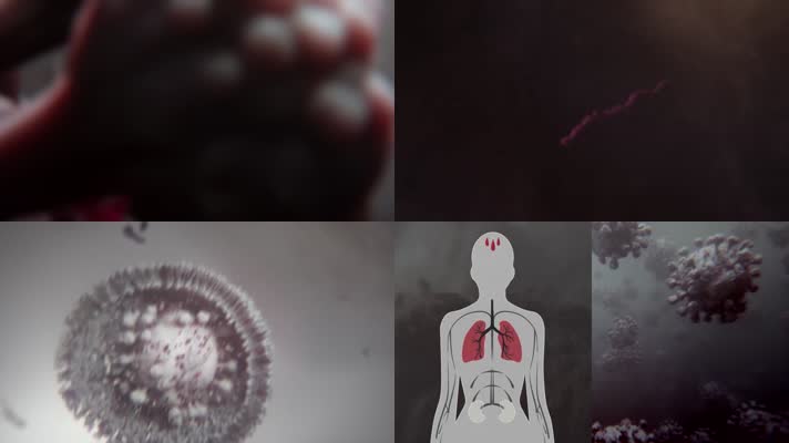 新冠病毒人体动画