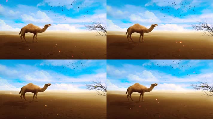 沙漠骆驼动画