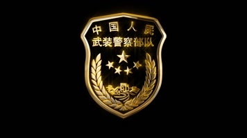中国武警臂章图图片