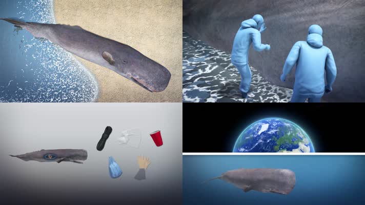 海洋污染鲸鱼死亡
