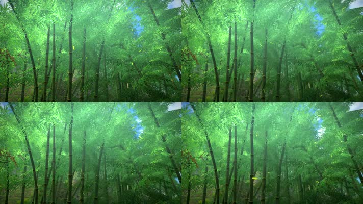 3D竹林场景
