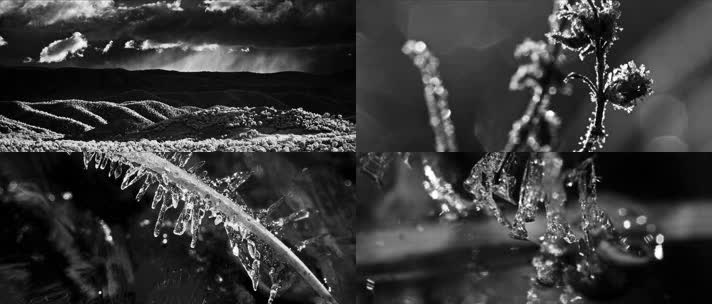 黑白摄影，云雾缭绕，晶莹水珠冰花