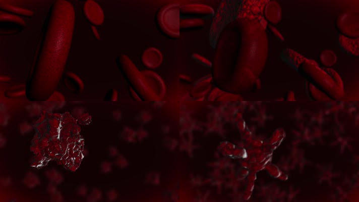 感染的血细胞3D动画素材