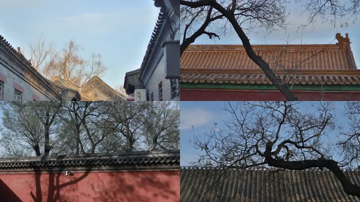 原创实拍北京古建筑