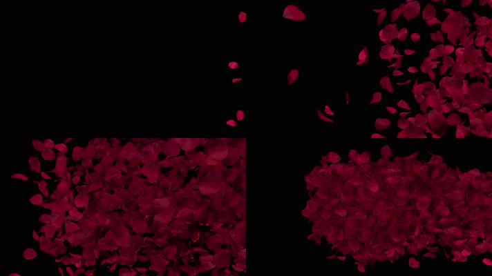 玫瑰花瓣汇聚心形动画