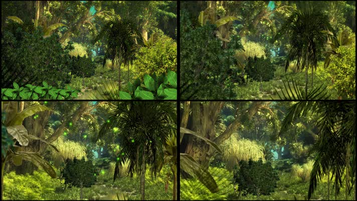 3D热带雨林