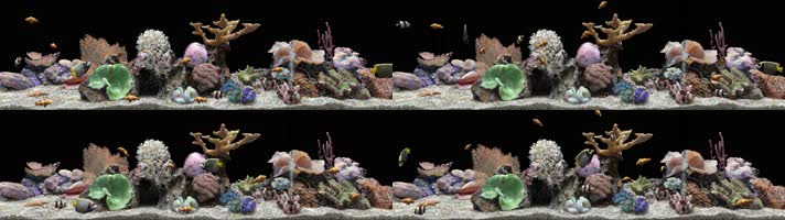 超宽屏全息海洋珊瑚群水族箱
