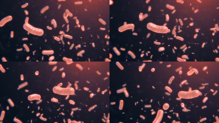 大肠杆菌细菌菌落活动