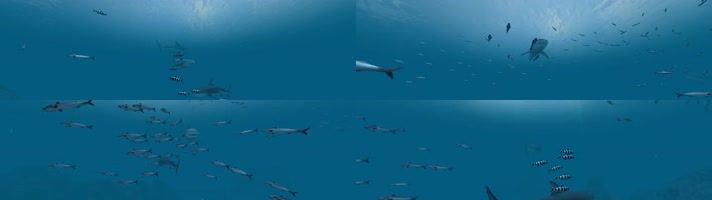 环幕投影超宽屏水族馆海洋鲨鱼