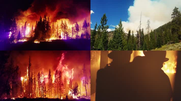 森林火灾消防员救火
