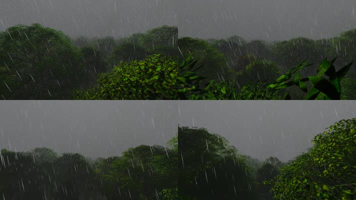 树林大雨三维动画