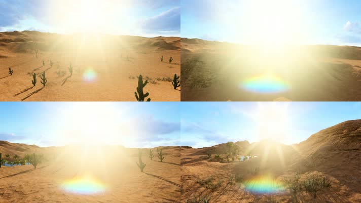 三维沙漠绿洲航拍动画