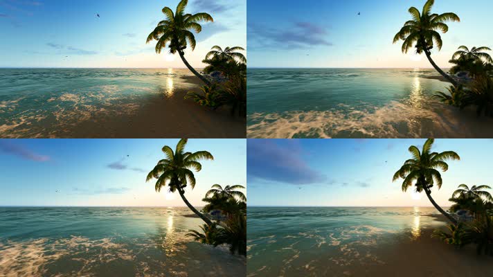 海滩椰树小岛海鸟三维动画2