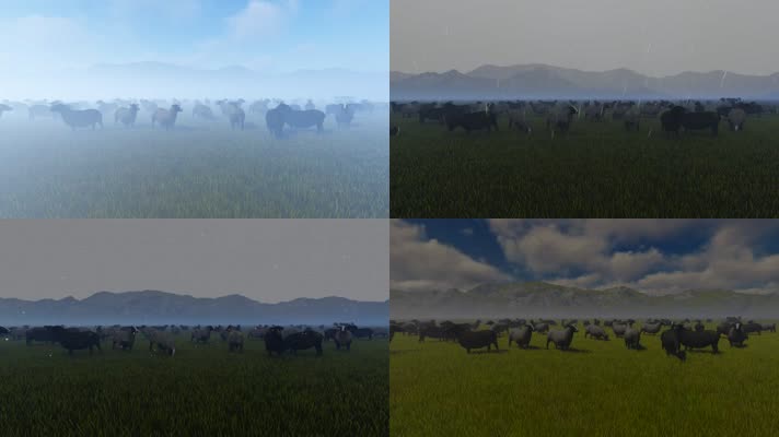 4种类草原天气放牧牲畜羊群三维动画