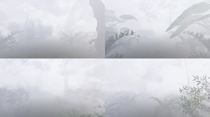 三维树林森林雾气穿梭动画