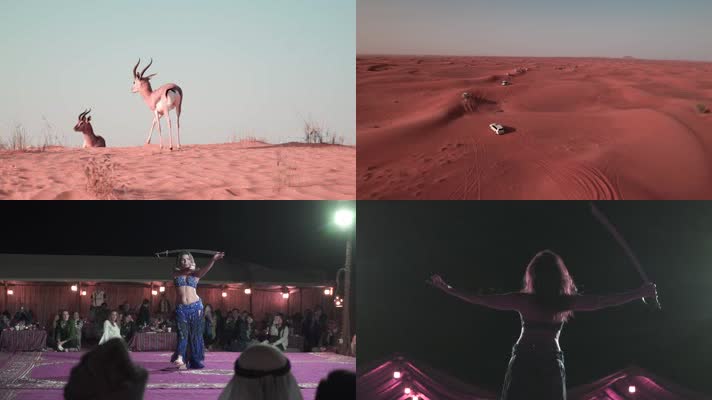 迪拜 沙漠旅游 穿越沙漠 骆驼 中东舞蹈