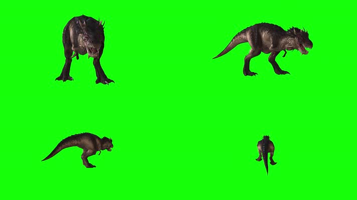 恐龙，多视角，侧前后上
