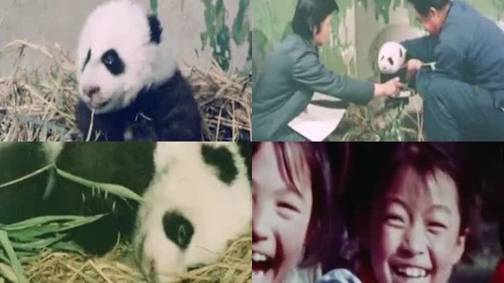 1978年第一例人工授精大熊猫诞