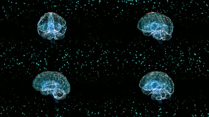 科技粒子大脑扫描