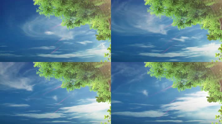 【4k】绿色树叶天空白云