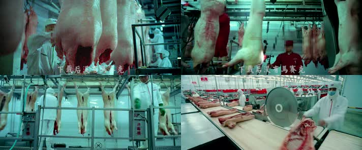 屠宰场杀猪场肉联厂生产线猪肉加工