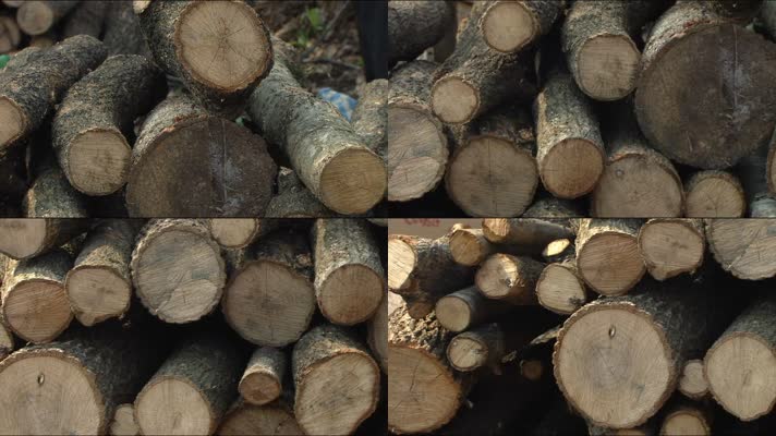 木头 砍伐 木料