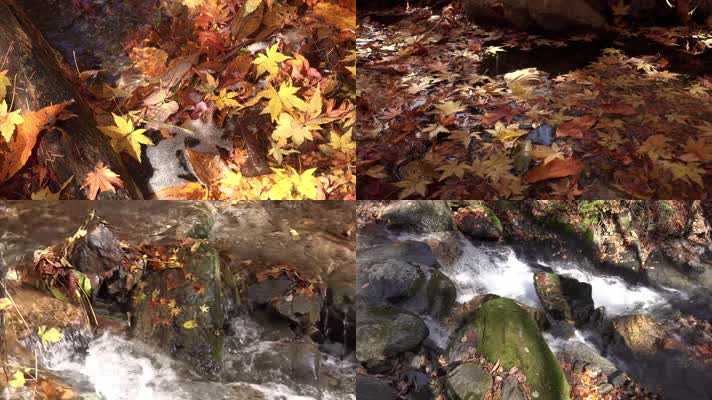溪流流水，秋天流水，落叶飘零