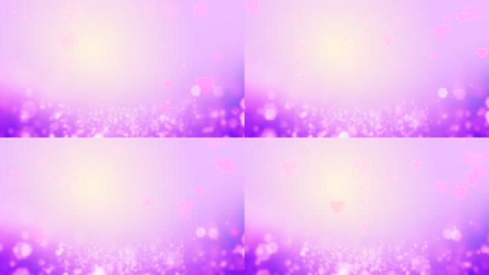  520情人节清新浪漫唯美紫色动态背景