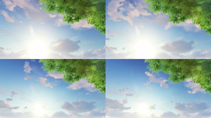 【4k】树叶蓝天白云背景
