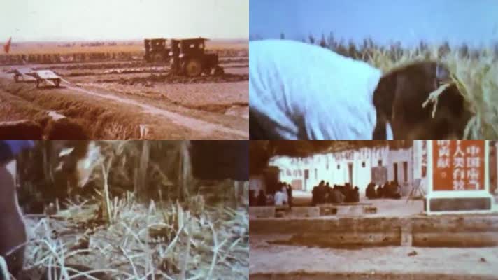 70年代中国农业生产