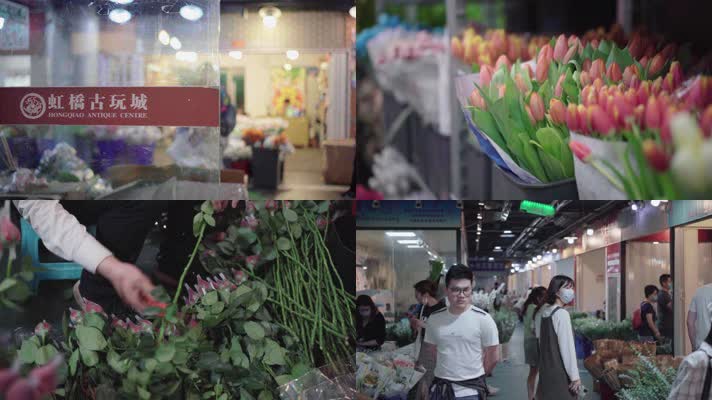上海花鸟市场实拍