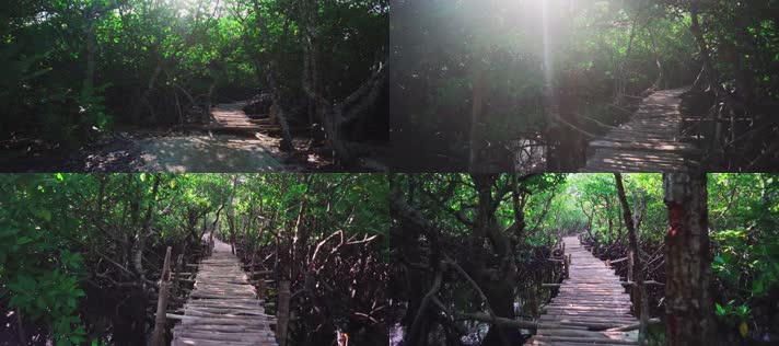 林中小桥，林间小道，生态园林