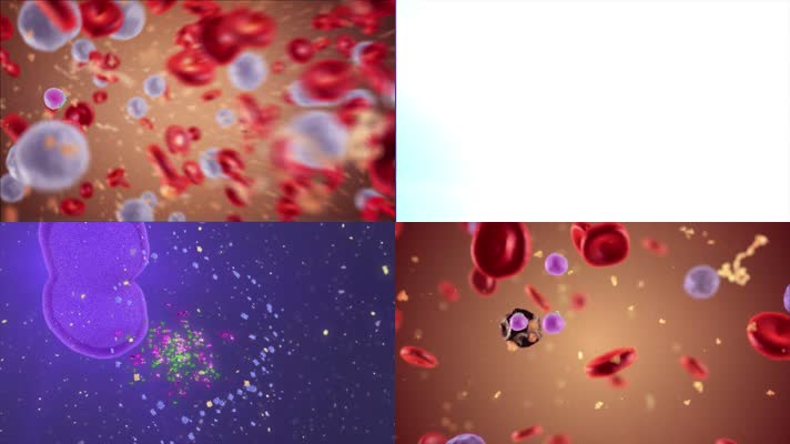 病毒细胞入侵三维动画演示