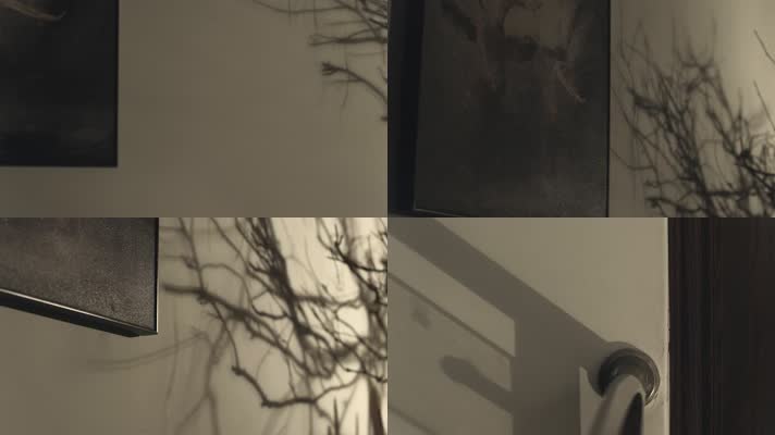 艺术光影树影，抽象艺术画面4k