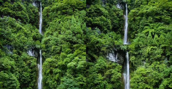 4k航拍绿色森林中的瀑布
