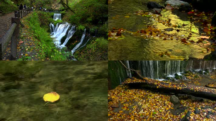 秋天黄叶，瀑布流水，水面落叶