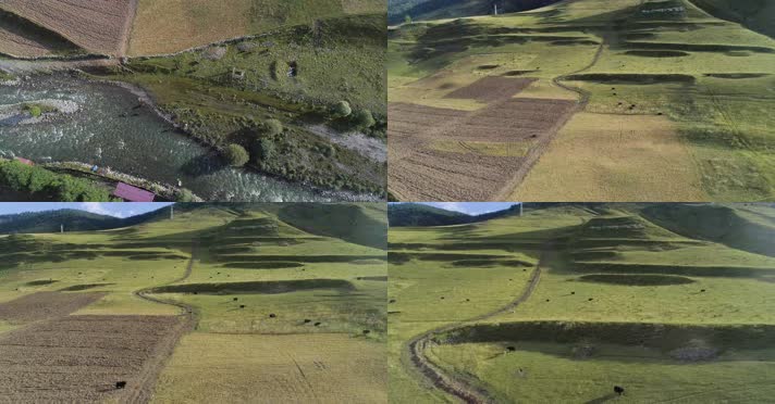 4K航拍德格藏区援建村落高山草甸牧场牦牛