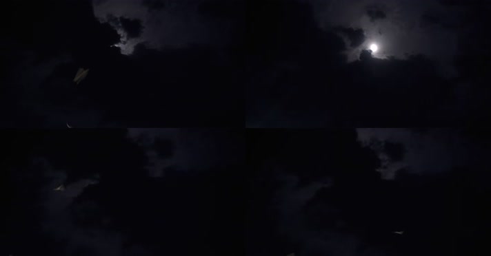 【原创】4K 实拍夜晚鸟在月亮下盘旋